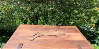 Steeplechase Launches “Party in a Box” For At-Home Celebration Steeplechase