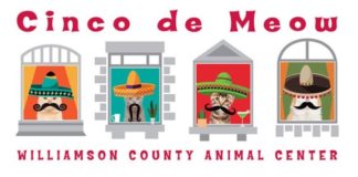 Local Living: 5 Virtual Events to Check Out This Week Cinco de Meow Virtual Cat Festival