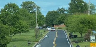 What do you think of the traffic calming plan on Stewart Campbell Pointe? Stewart Campbell Pt chicanes