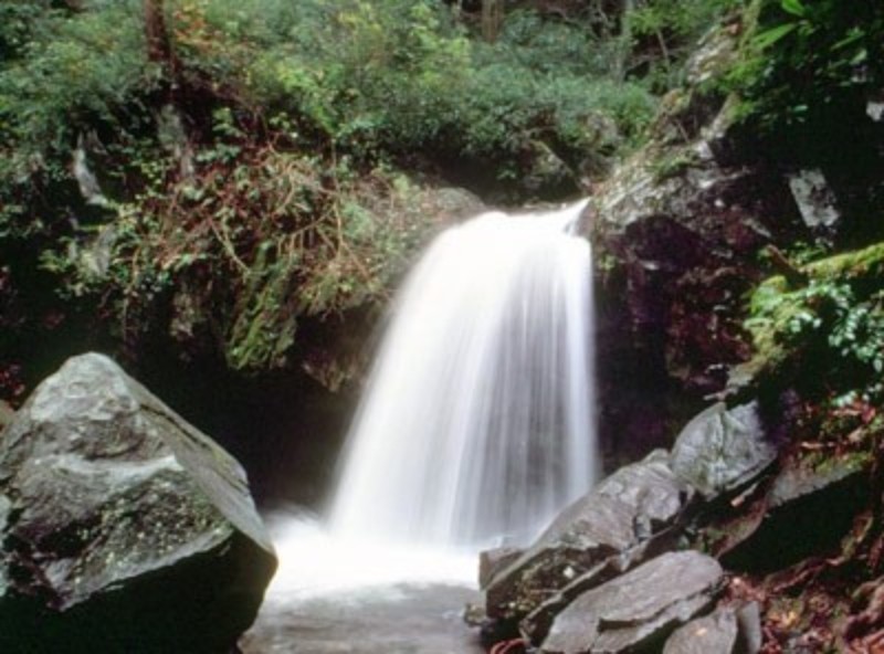grotto falls, nps.gov