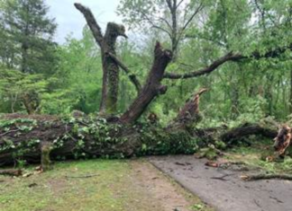More severe weather expected tonight as crews cleanup from Sunday storms storms brentwood