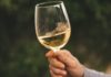 Summertime at JJ’s Wine Bar Is All About the White Wines white wine