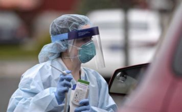 Williamson county coronavirus case count