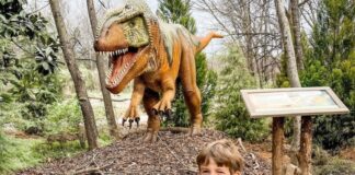 Last Chance to Visit Nashville Zoo’s Dinotrek